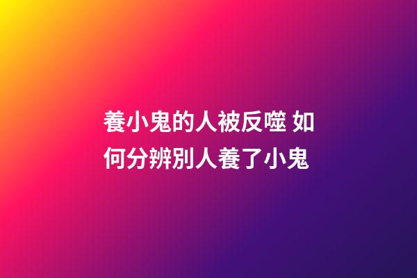 養小鬼的人被反噬 如何分辨別人養了小鬼